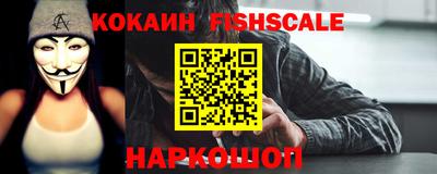 гашик Жуковский