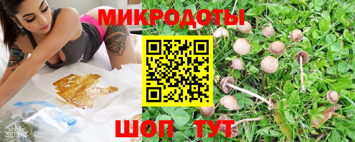 Псилоцибиновые грибы MAGIC MUSHROOMS Минеральные Воды