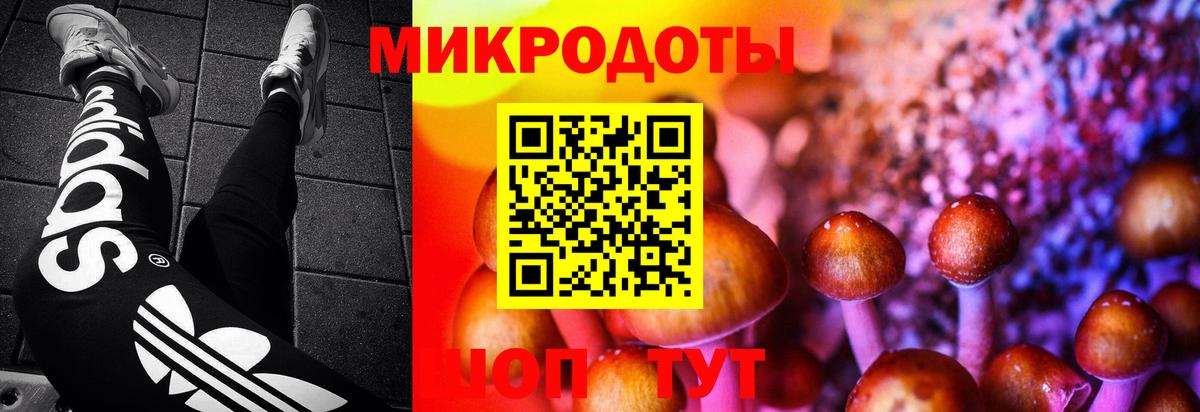Галлюциногенные грибы мухоморы  продажа наркотиков  Вход с VPN  Минеральные Воды  Галлюциногенные грибы мицелий 
